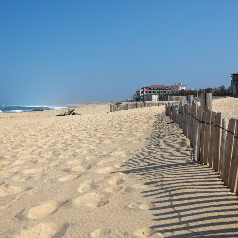 Une plage de sable fin bordée d'une clôture en bois longeant les dunes jusqu'aux bâtiments, sous un ciel d'un bleu limpide.