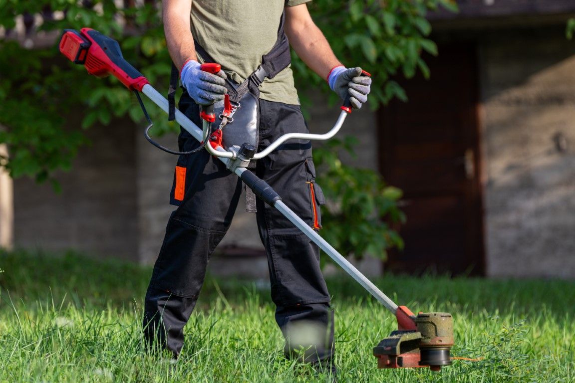 An image of Lawn Maintenance/Yard Maintenance/Irrigation in Margate FL