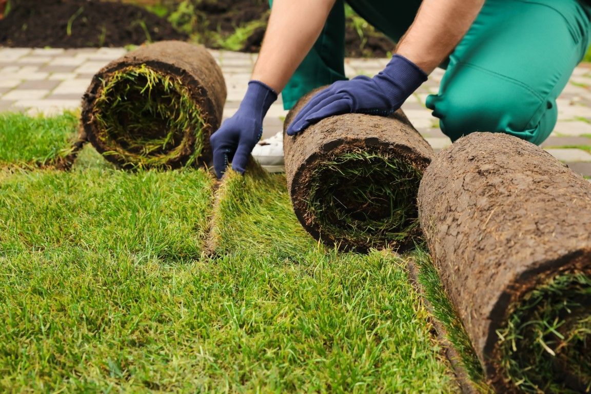 An image of Sod Installation in Margate FL