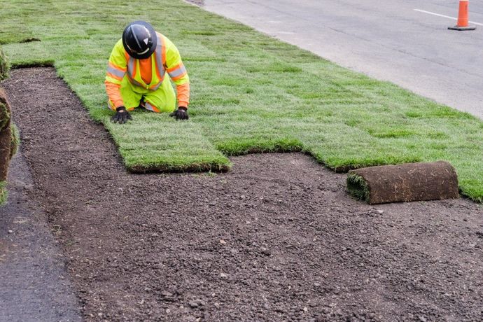 An image of Sod Installation in Margate FL