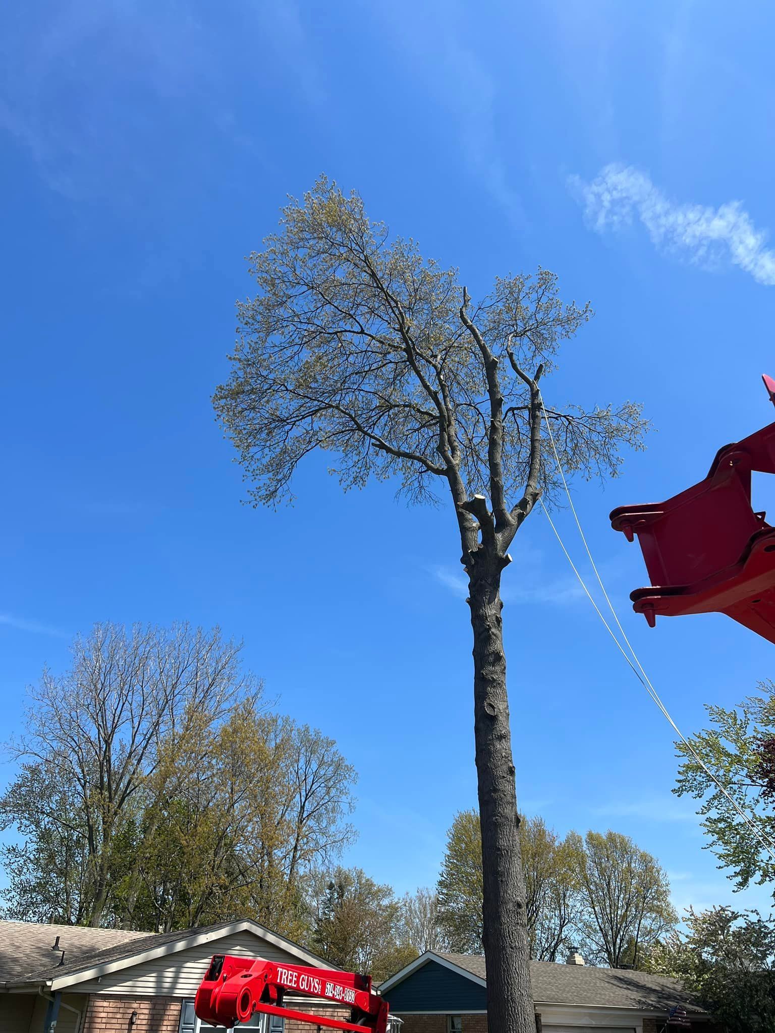 A person is cutting a tree with a crane in a residential area.