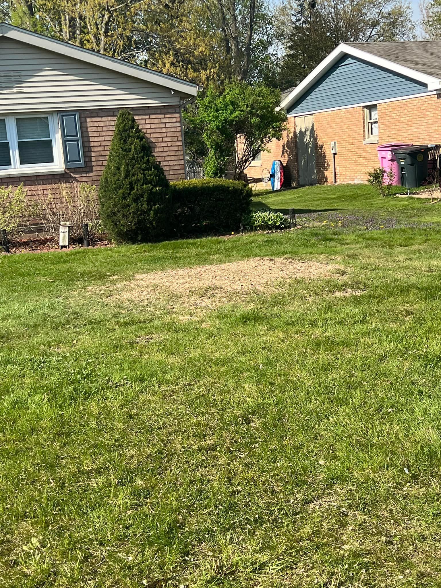 A lush green lawn in front of a house.