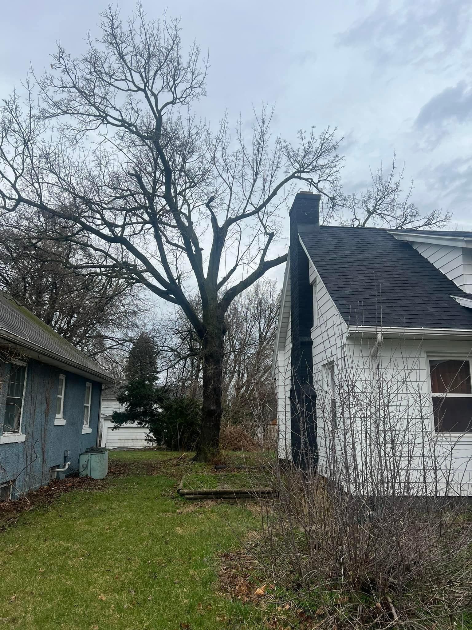 A white house with a black roof and a tree in front of it.
