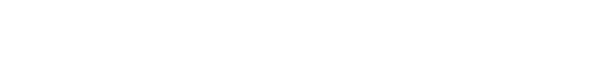 White Baxter logo
