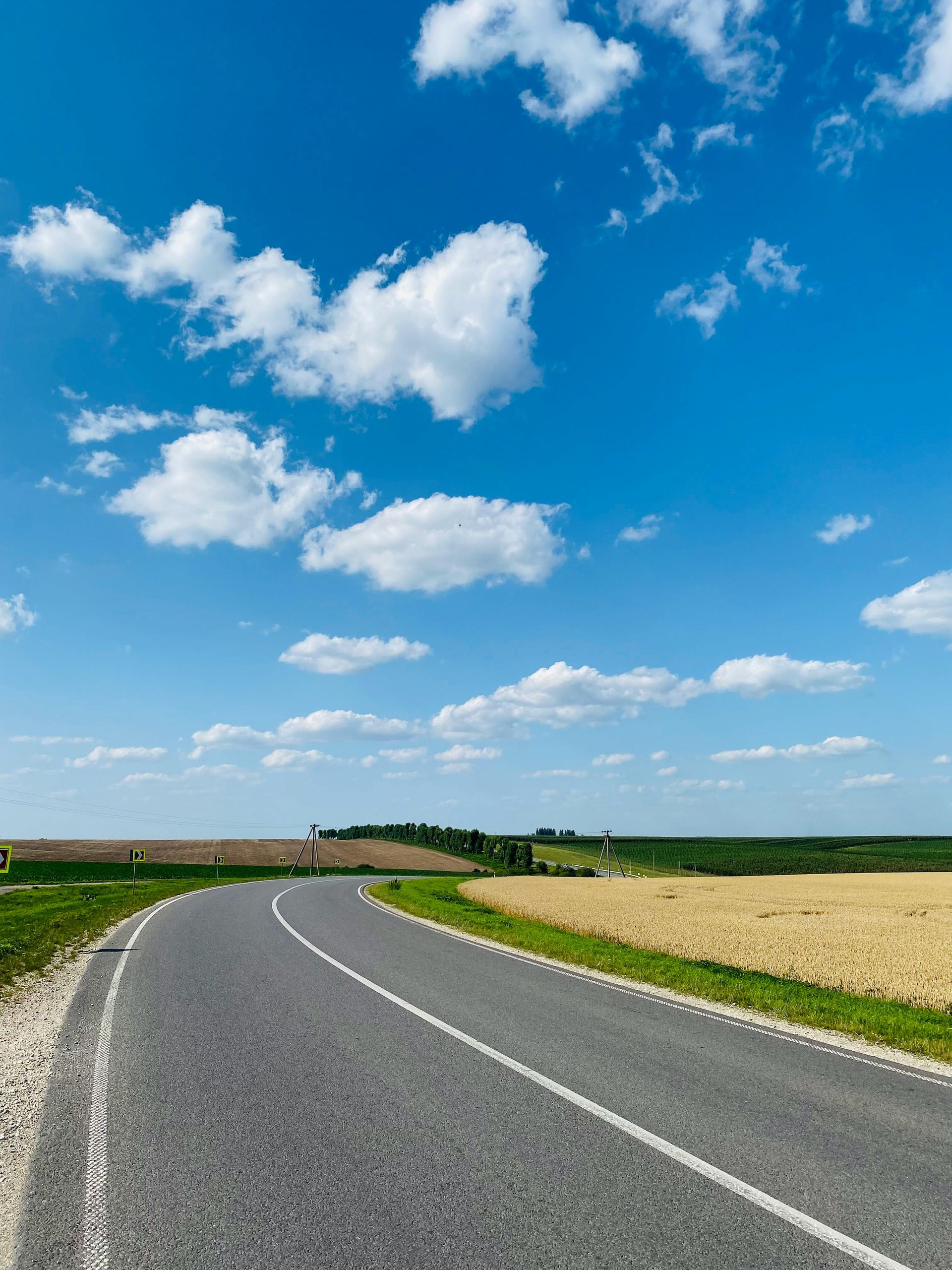 Curving road through fields under a bright blue sky with fluffy white clouds.