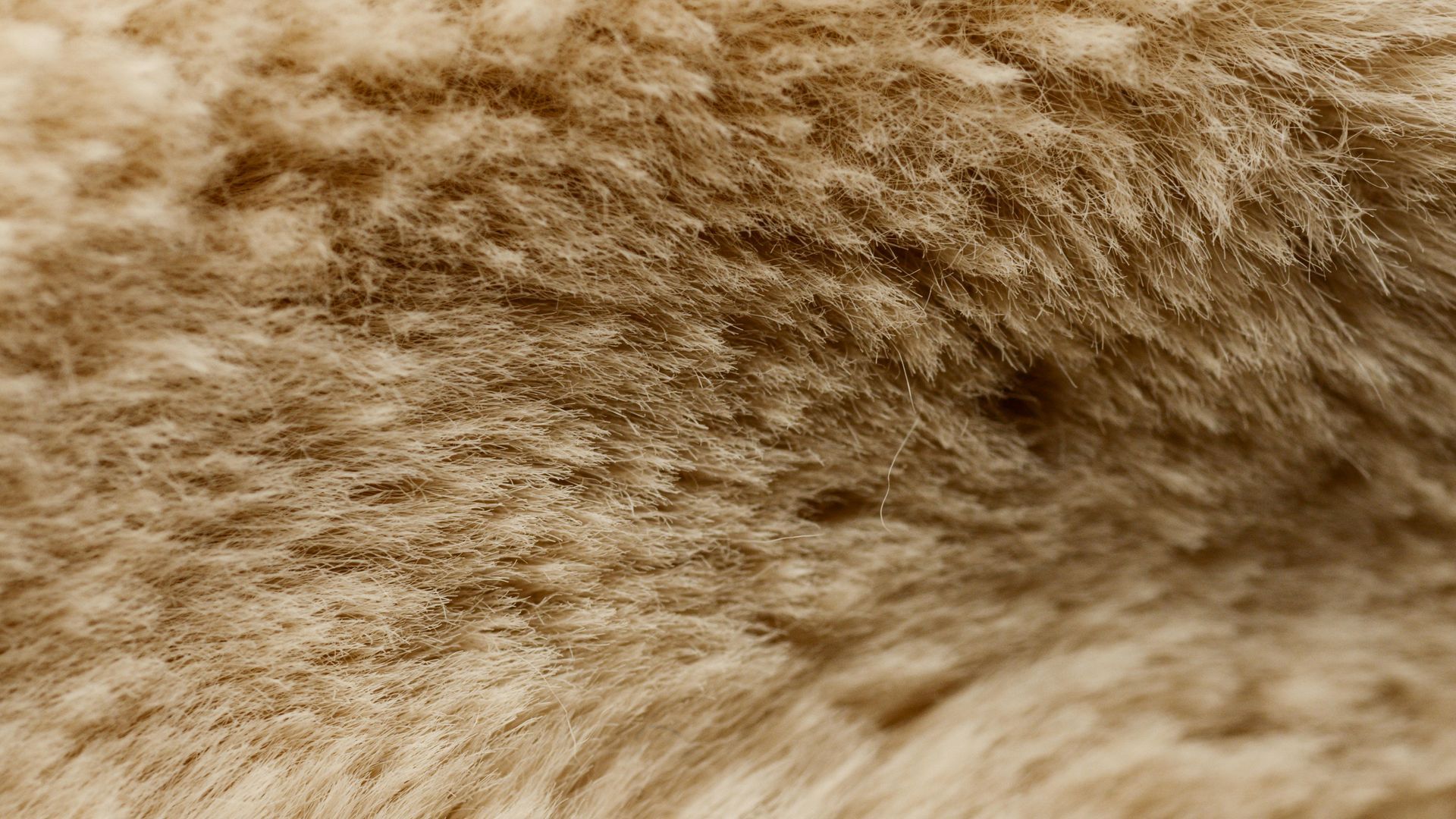 Close-up of soft, light brown faux fur.