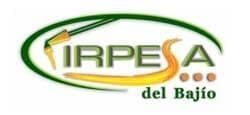 IRPESA DEL BAJIO
