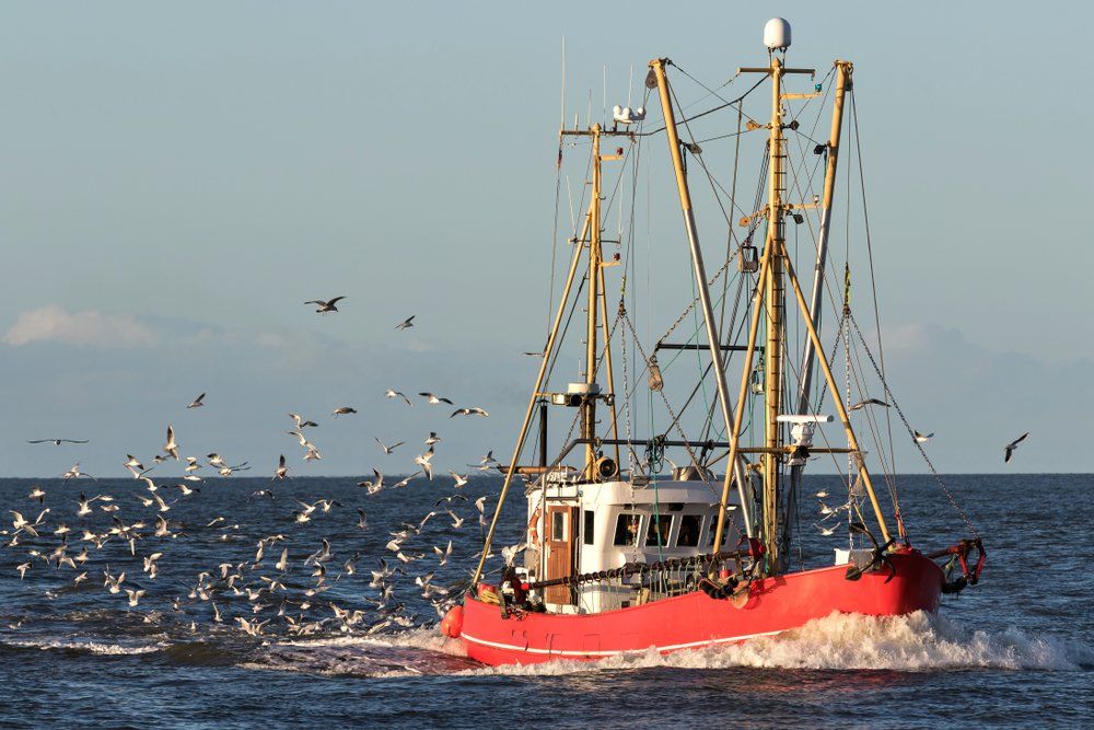 ARE SEAFOOD ‘SUSTAINABILITY’ CLAIMS FISHY?