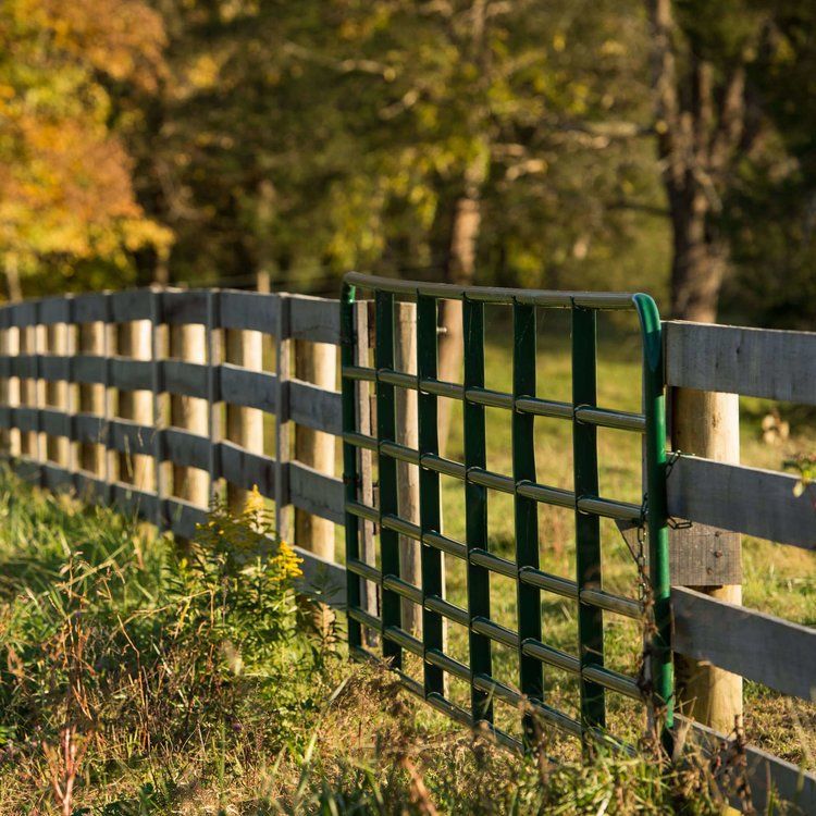 Green Tubular Gates — Shelbyville, KY — Shuck Fence Company