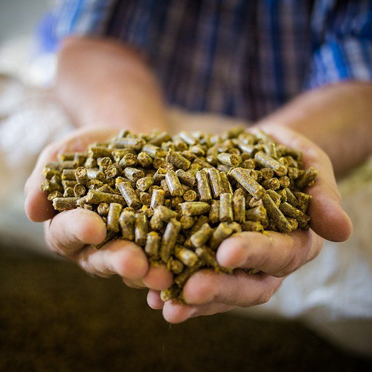 Man Holding A Equine Feeds — Shelbyville, KY — Shuck Fence Company