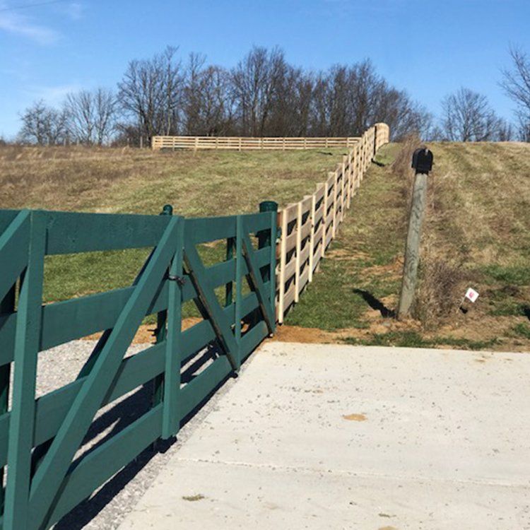 Green Thick Fence — Shelbyville, KY — Shuck Fence Company