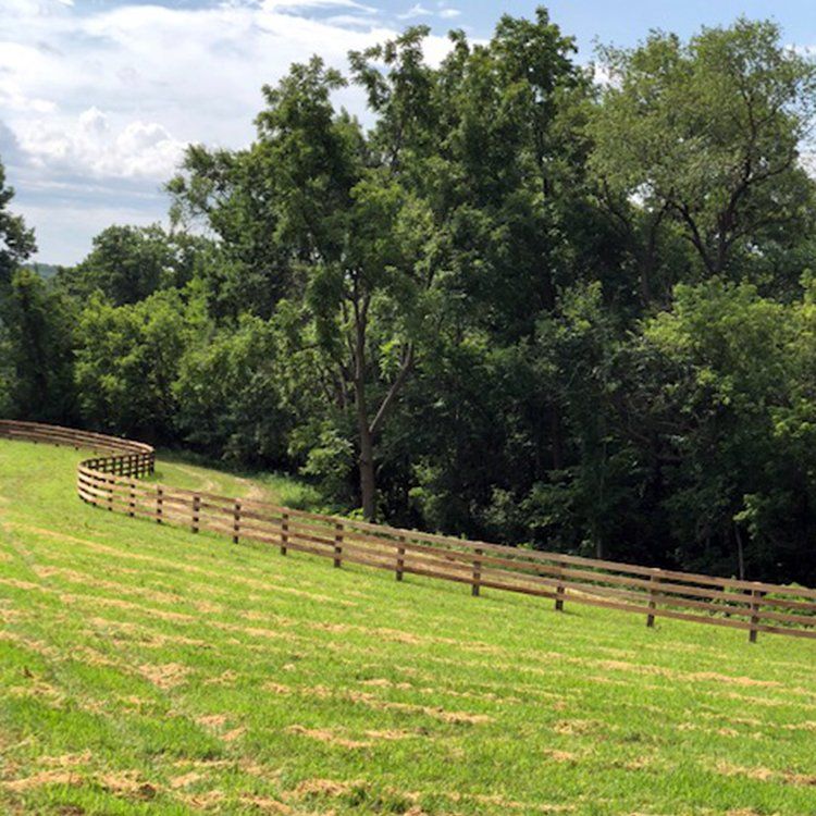 Long Fence Around A Big Tree — Shelbyville, KY — Shuck Fence Company