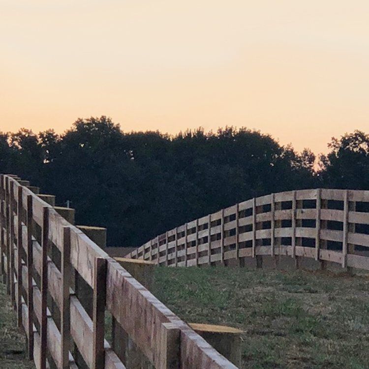 Wood Fence With Trees Behind — Shelbyville, KY — Shuck Fence Company
