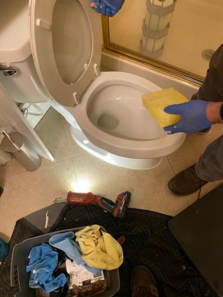 A person is cleaning a toilet with a sponge in a bathroom.