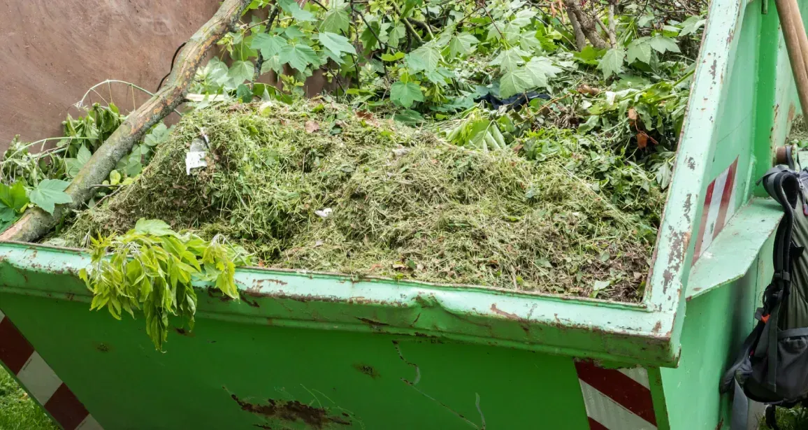 A green dumpster filled with leaves and grass.