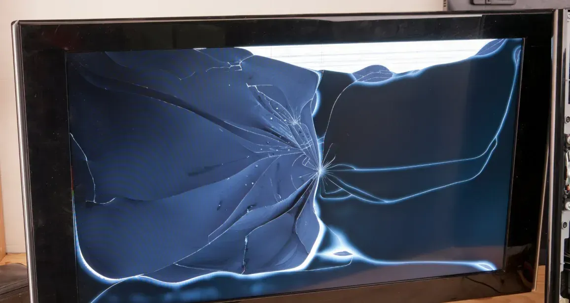 A broken television screen shows a butterfly on the screen