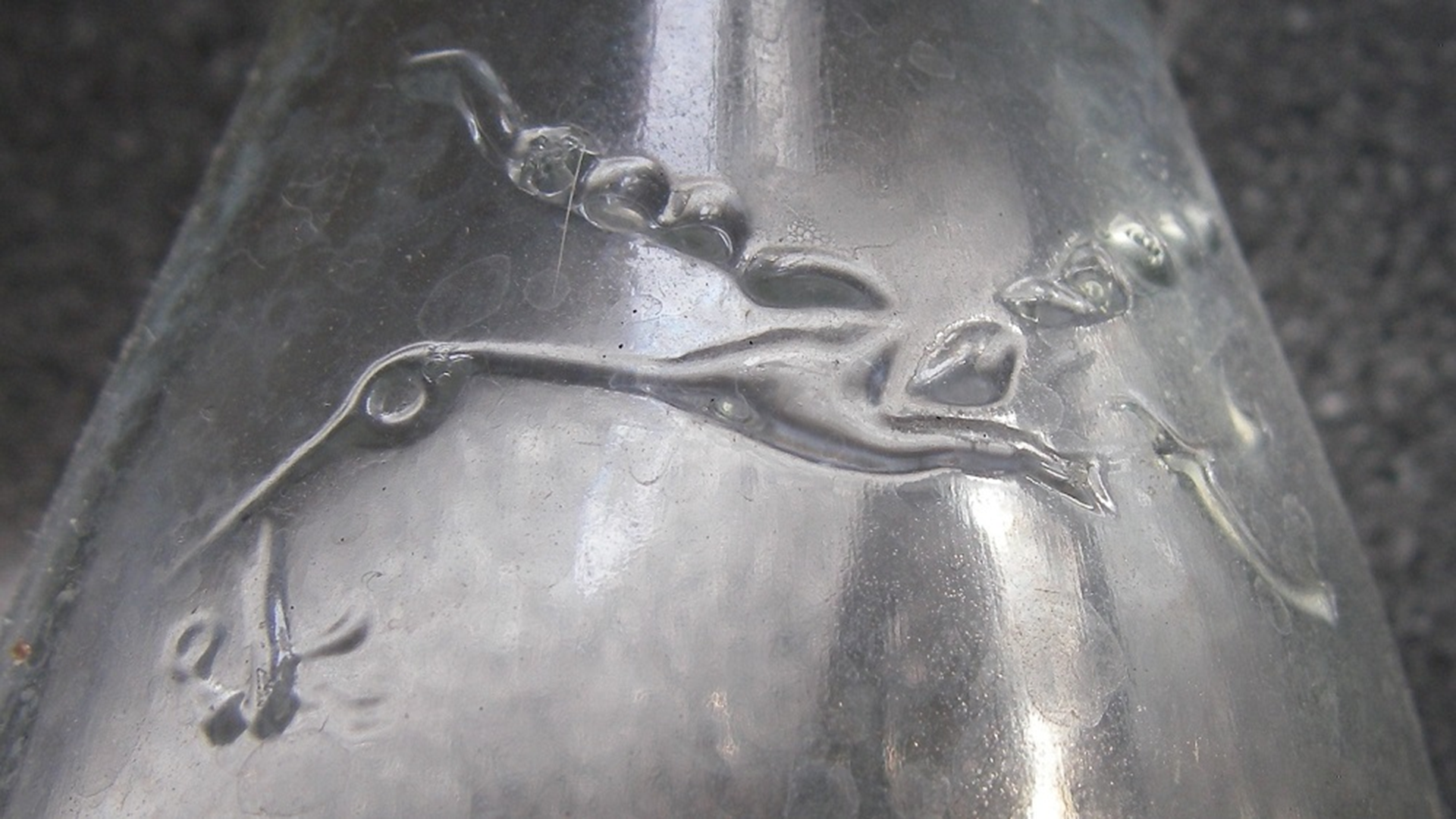 Bottles found in the forest.