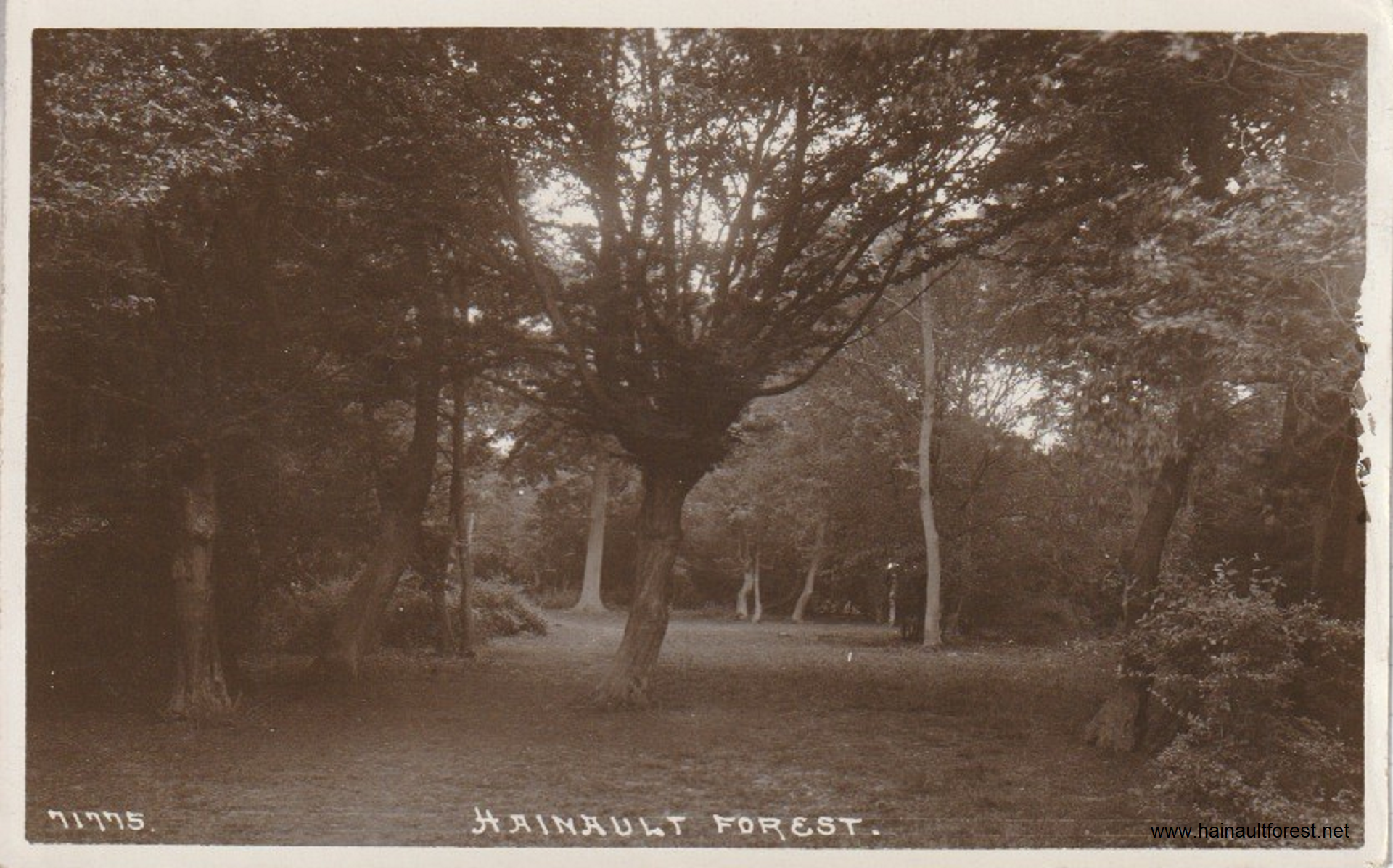 Valentines Park, Ilford