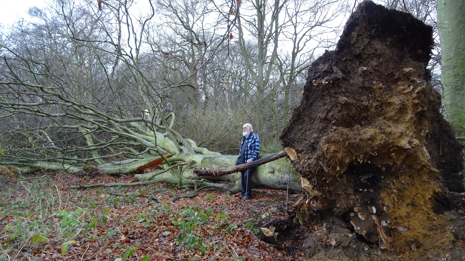 Weather
Wind and Snow