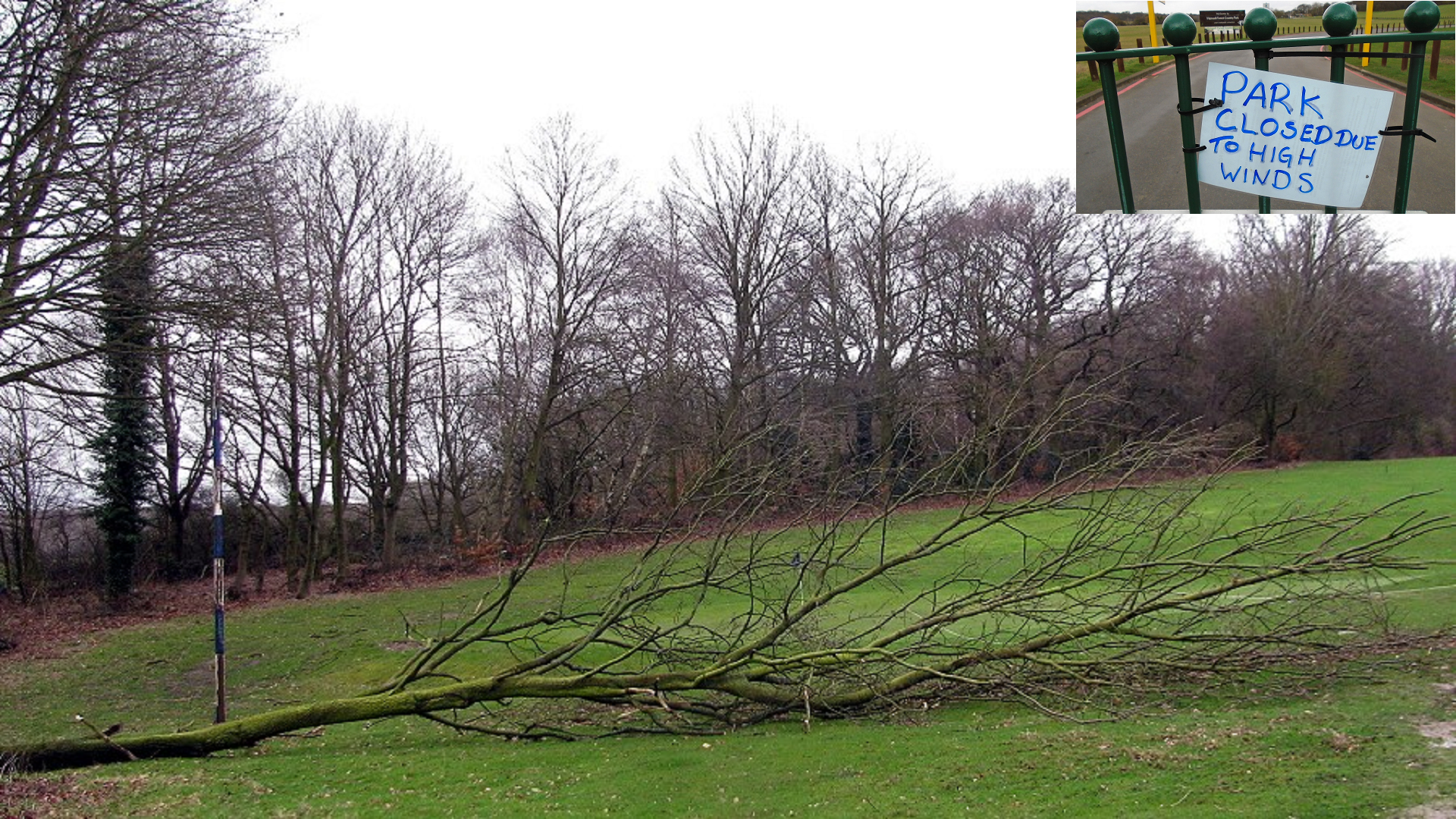 Storm Doris
Fallen Tree