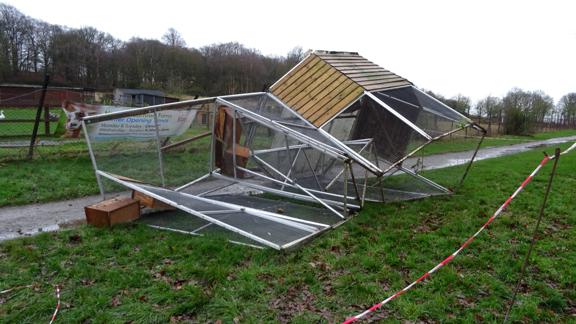 bird cage strong winds