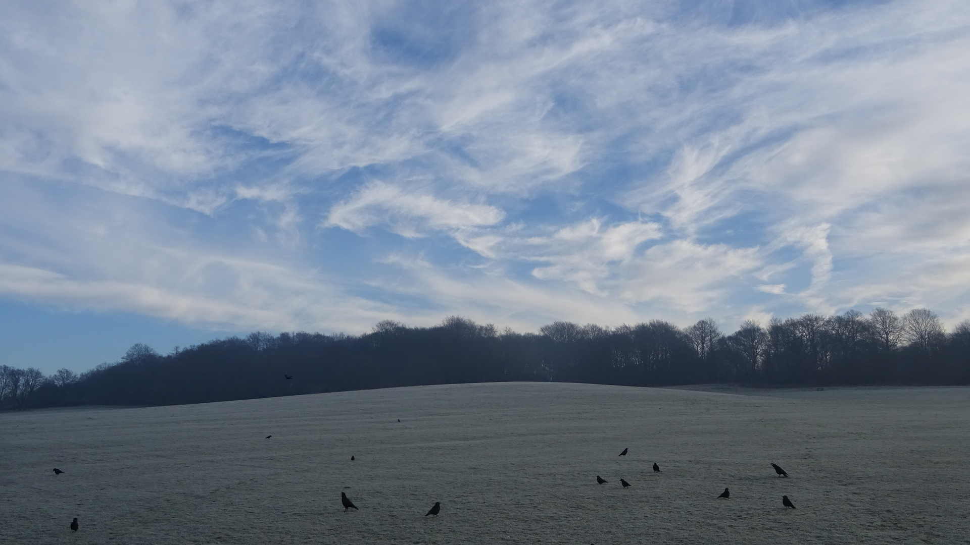 Cirrus clouds