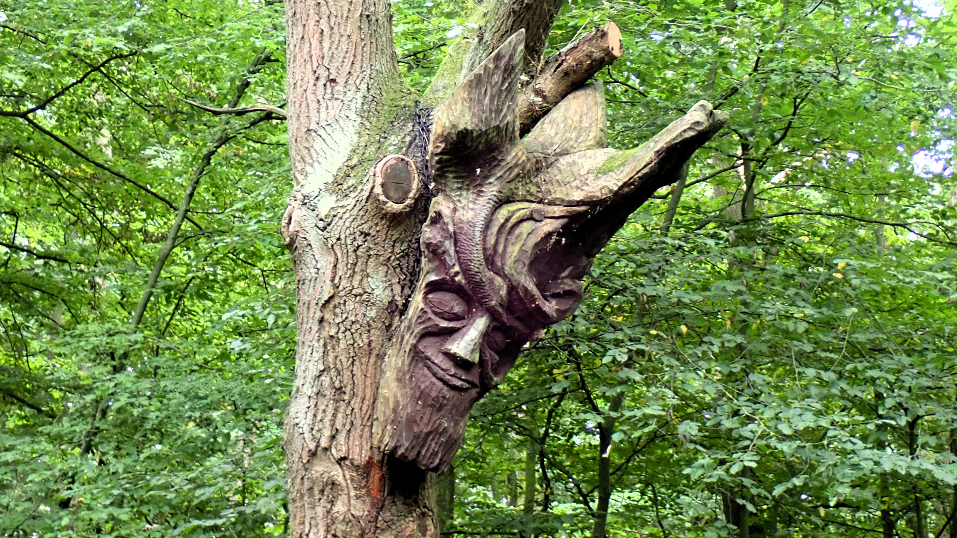 Hainault Forest