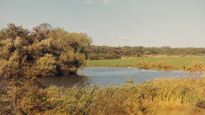 Hainault Lake