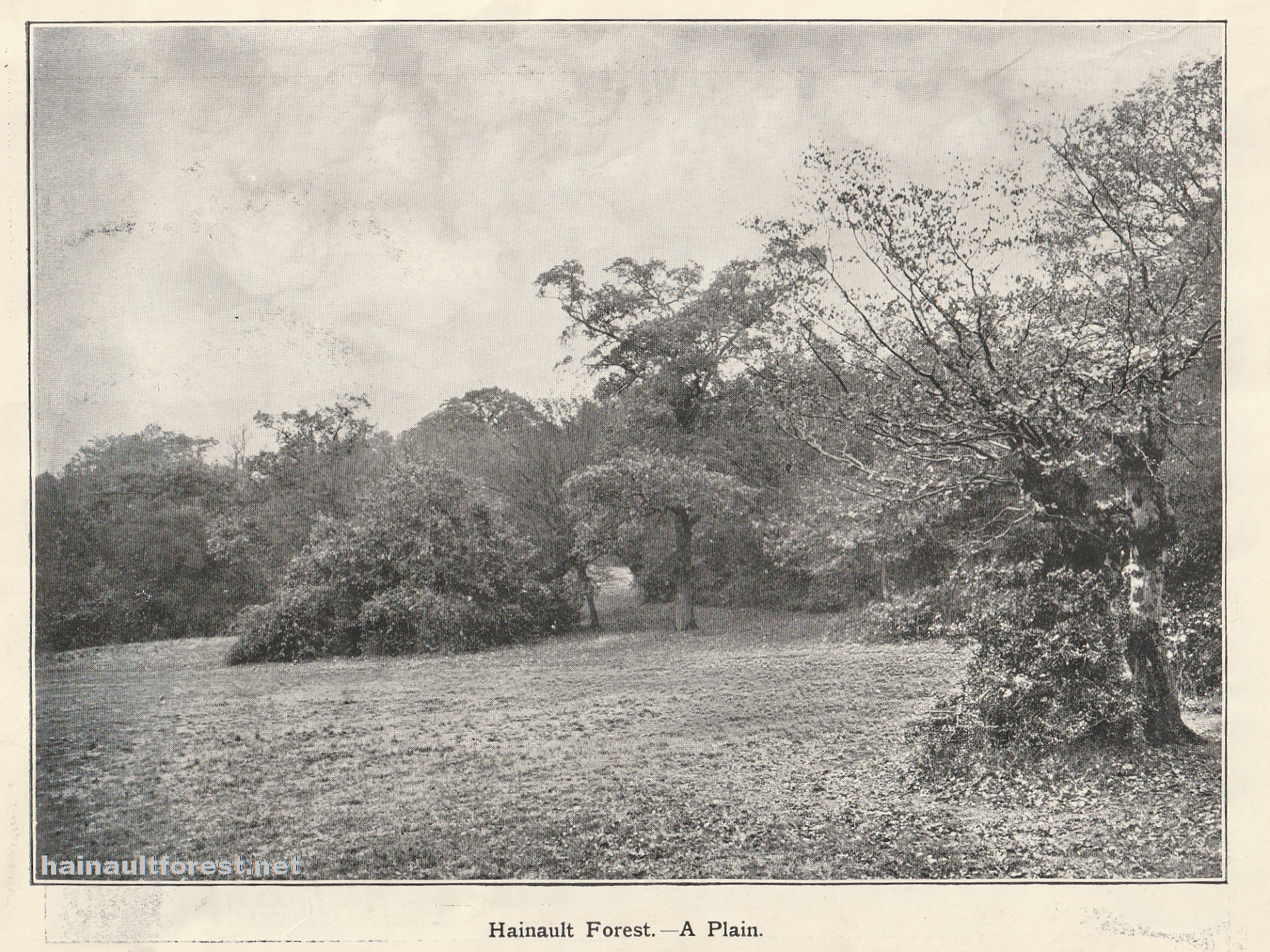 Dedication of Hainault Forest