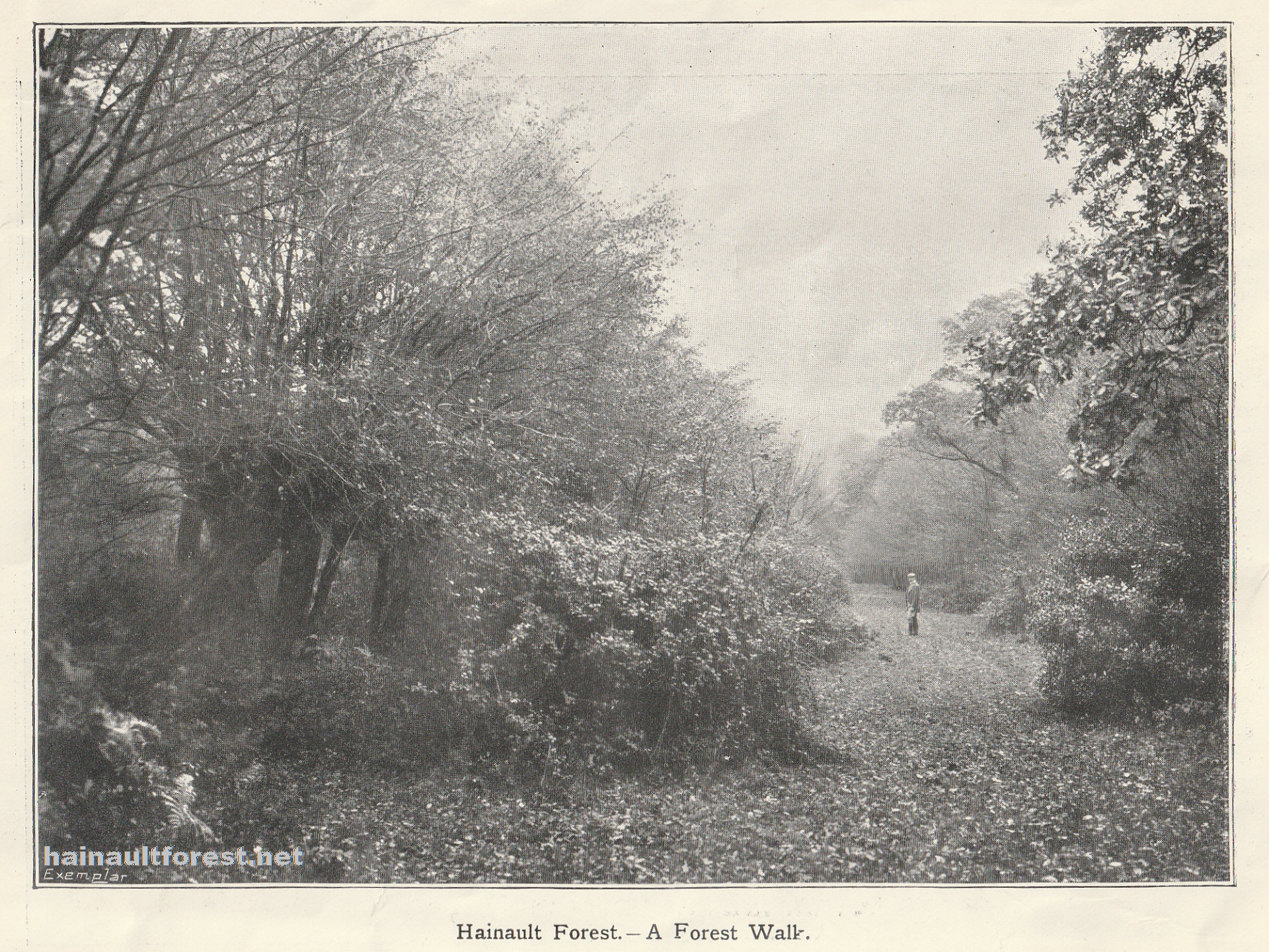 Dedication of Hainault Forest
