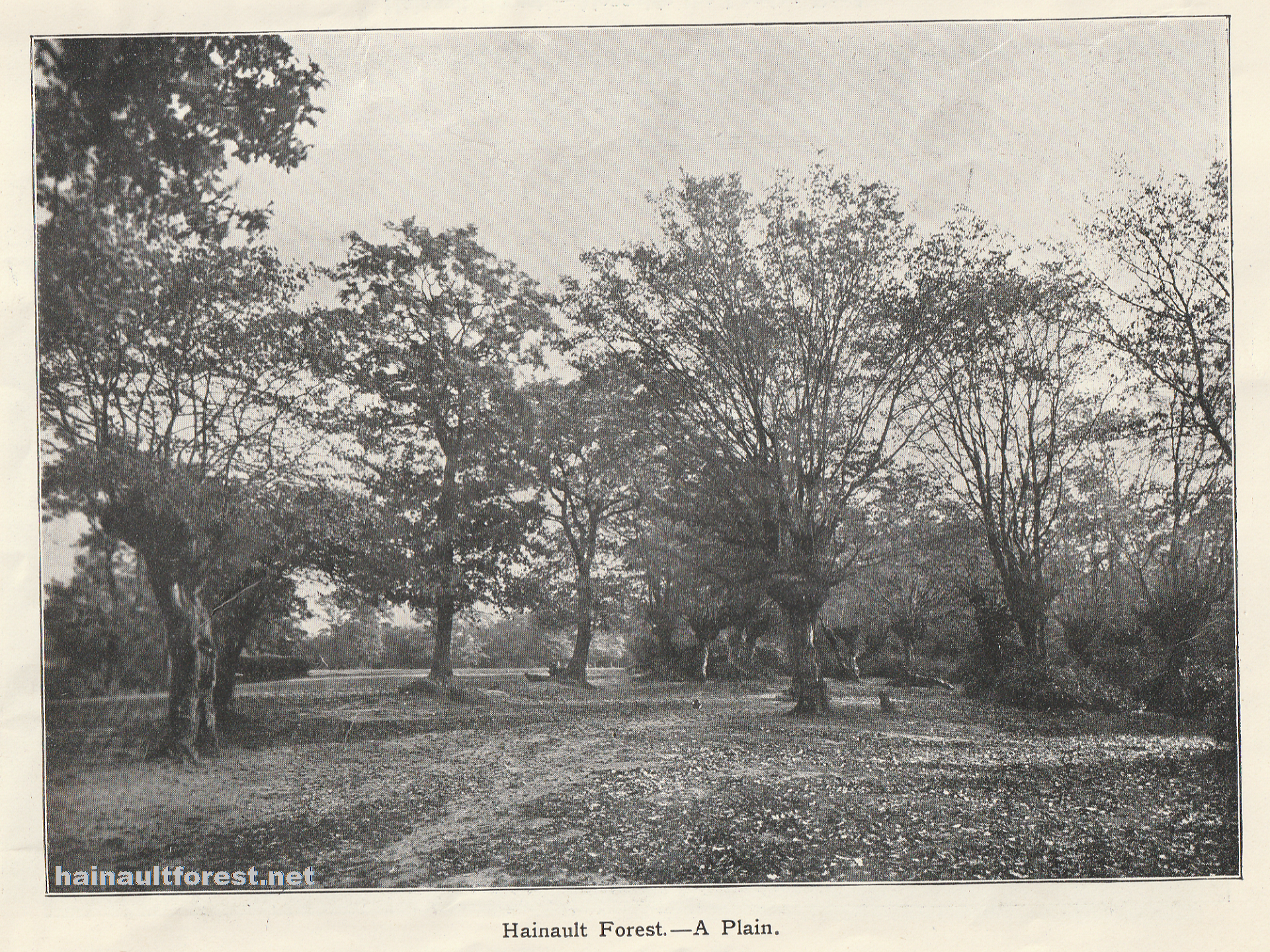 Dedication of Hainault Forest