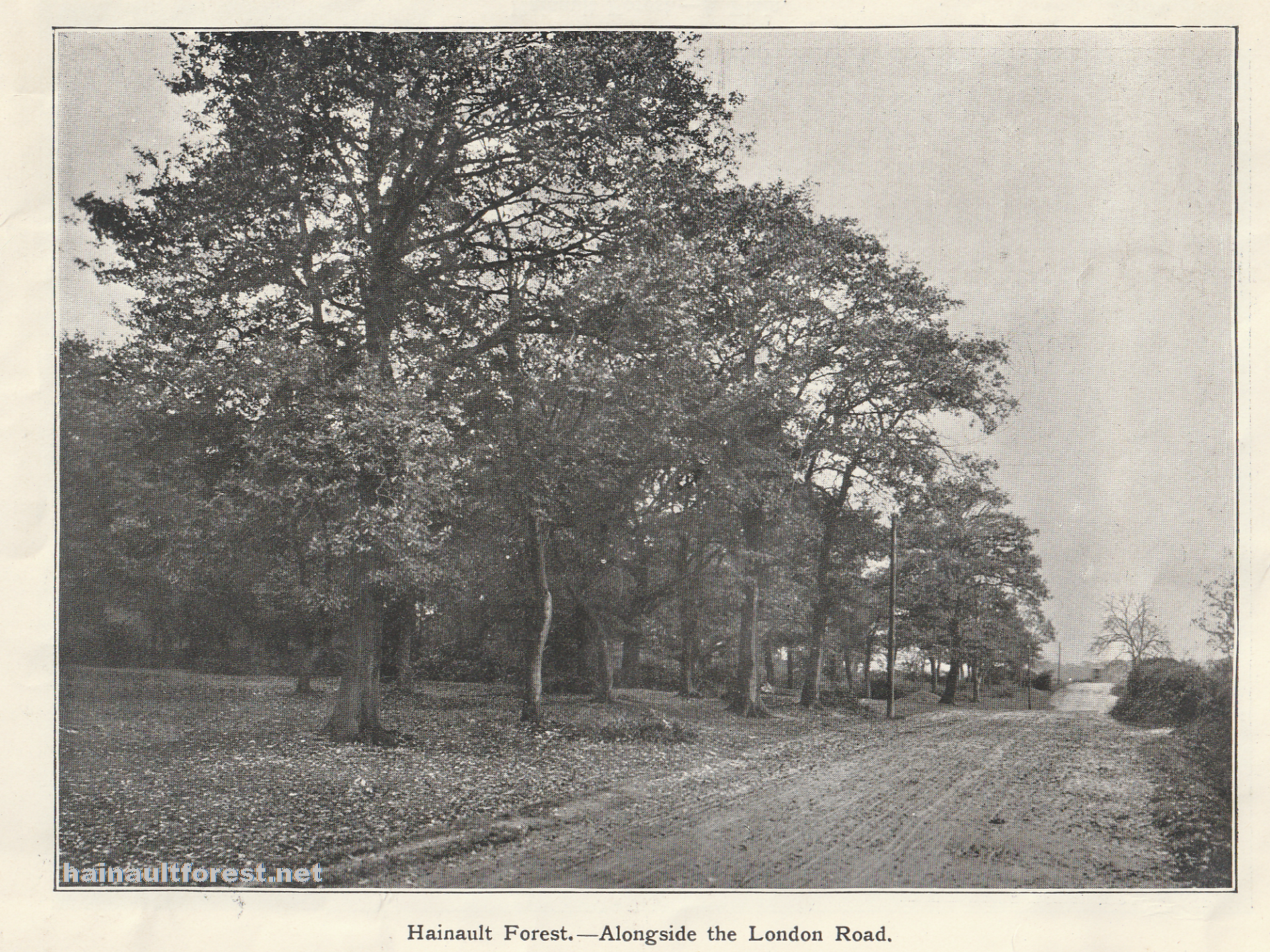 Dedication of Hainault Forest