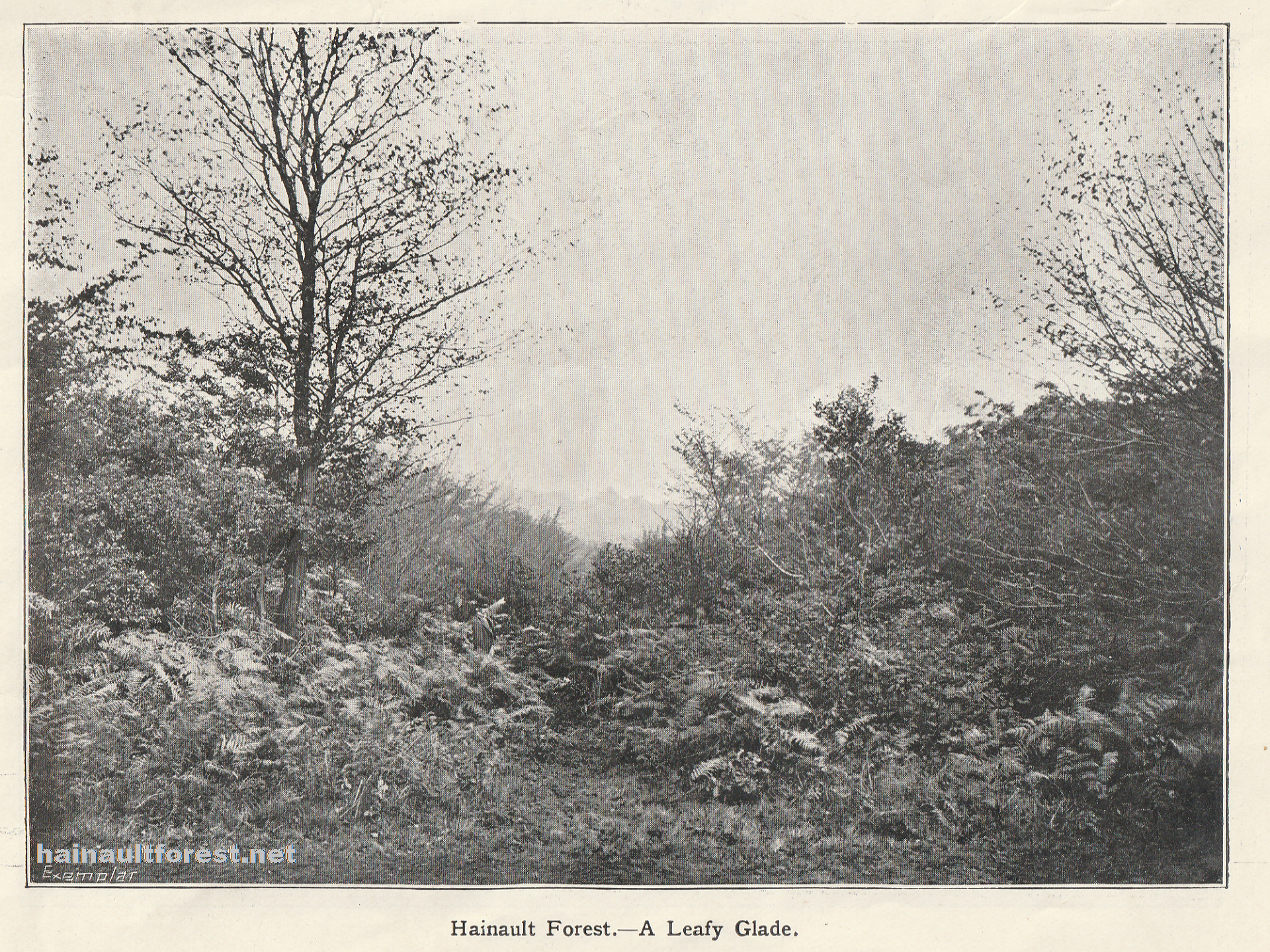 Dedication of Hainault Forest