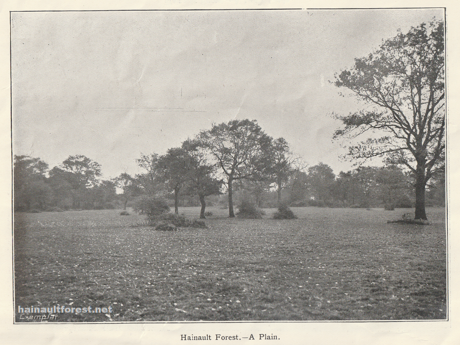 Dedication of Hainault Forest