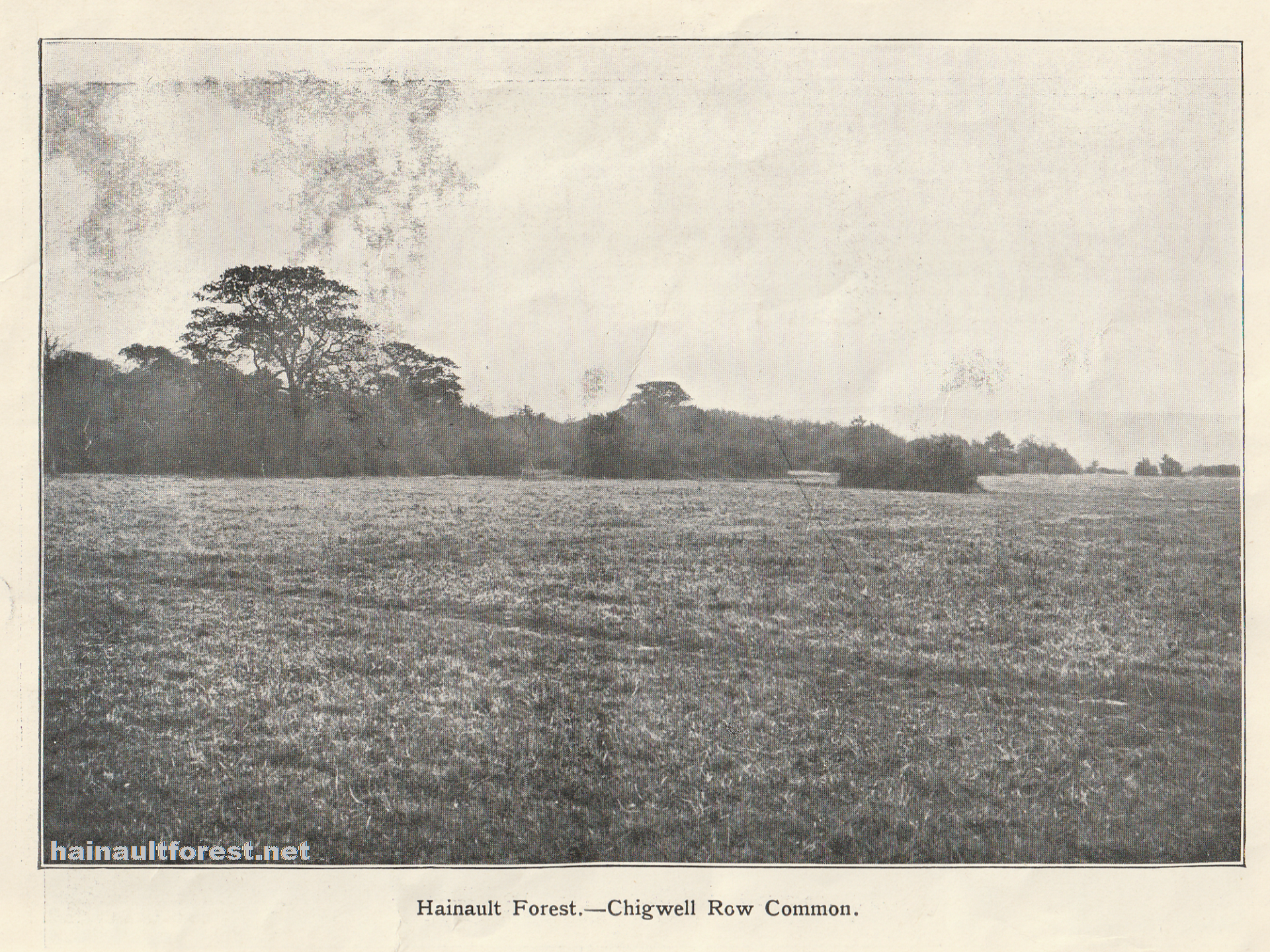 Dedication of Hainault Forest