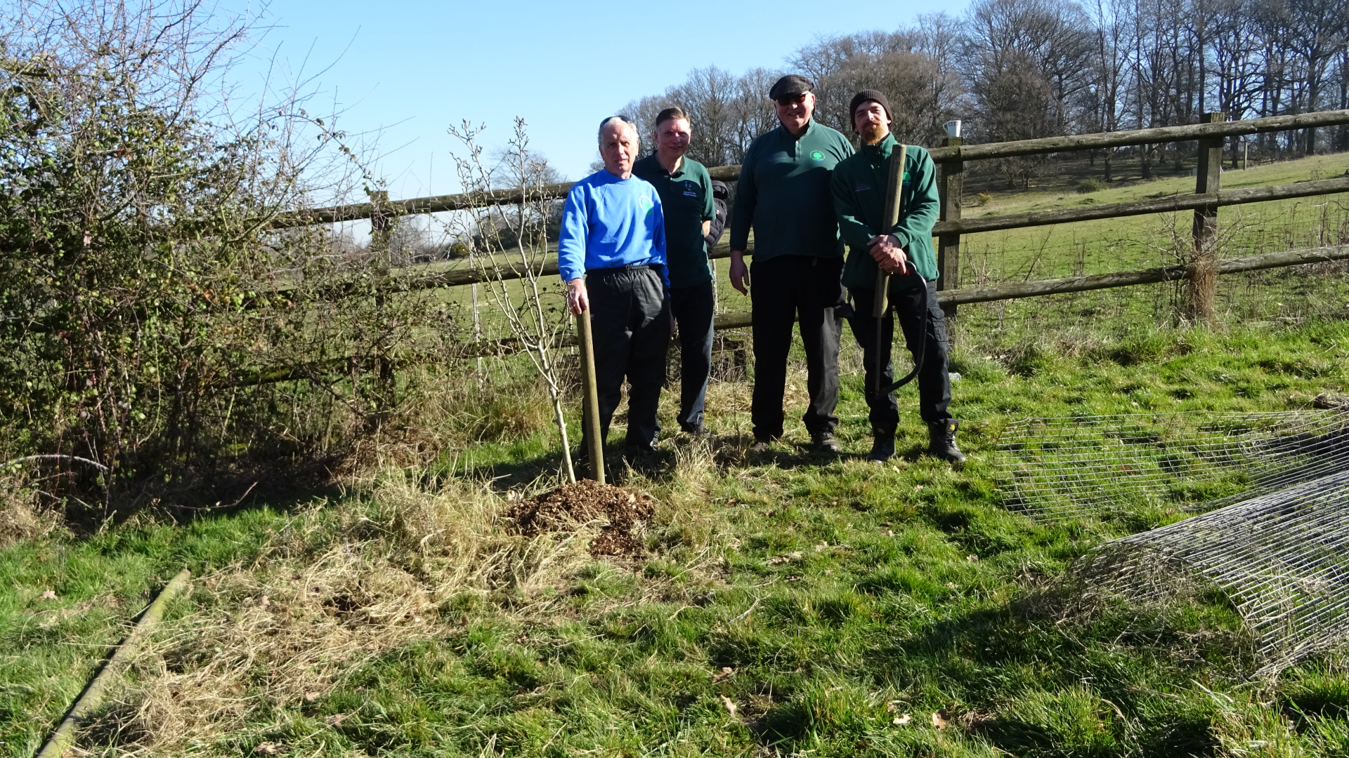 The Orchard
Tree Pruning