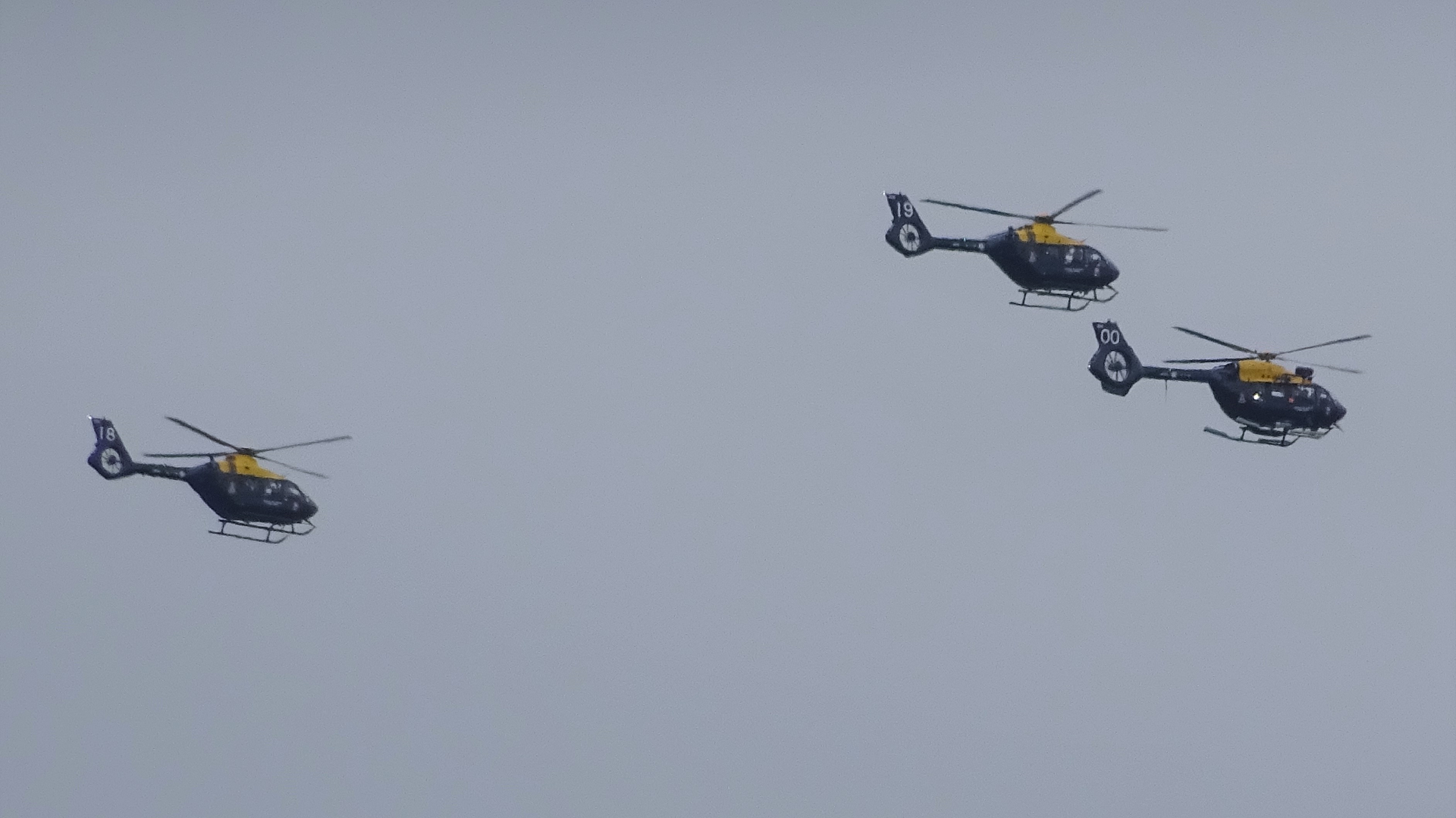 RAF Centenary Flypast
Over Hainault Forest