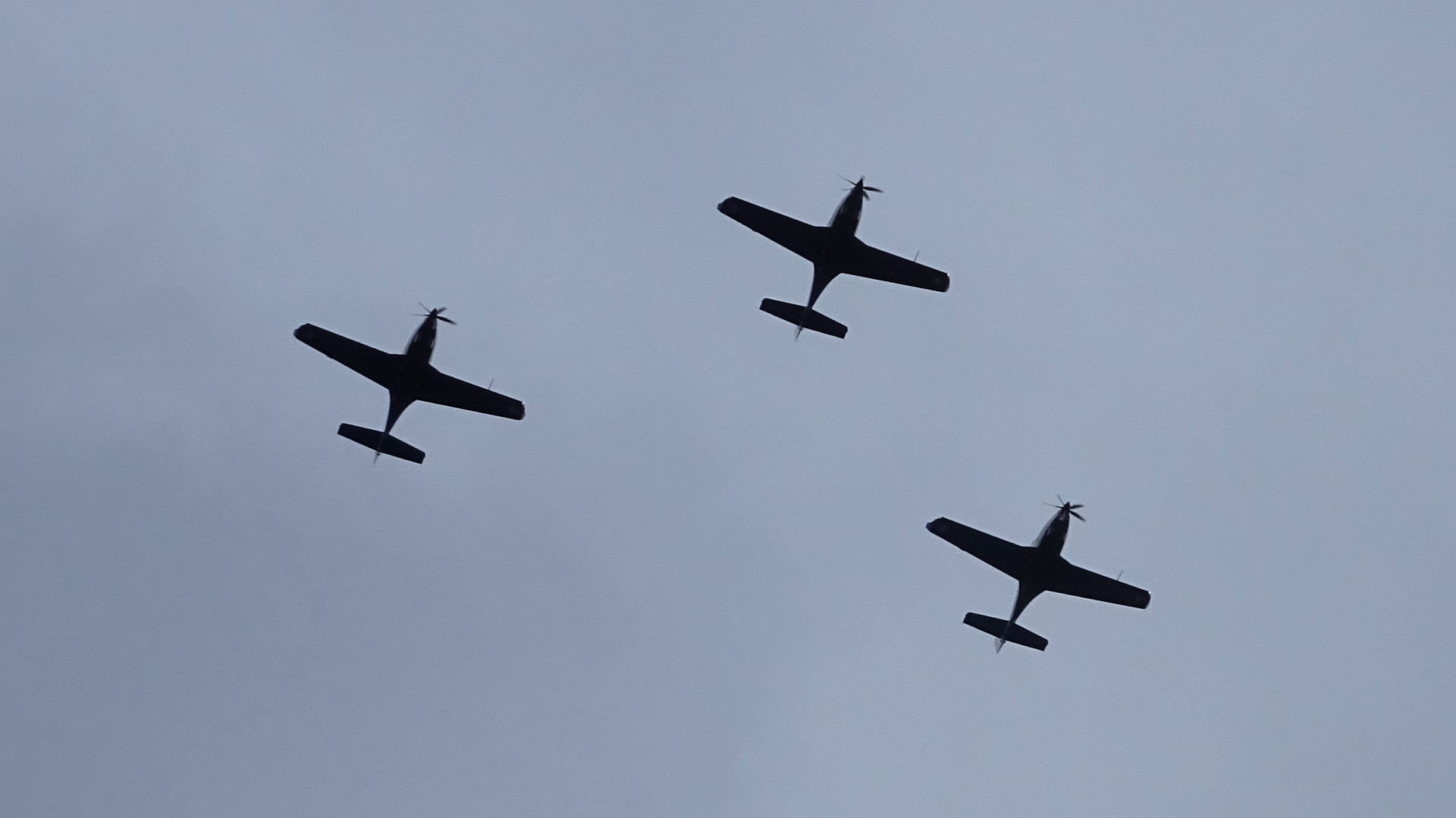 RAF Centenary Flypast
Over Hainault Forest