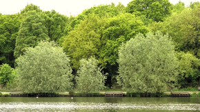 Hainault Lake