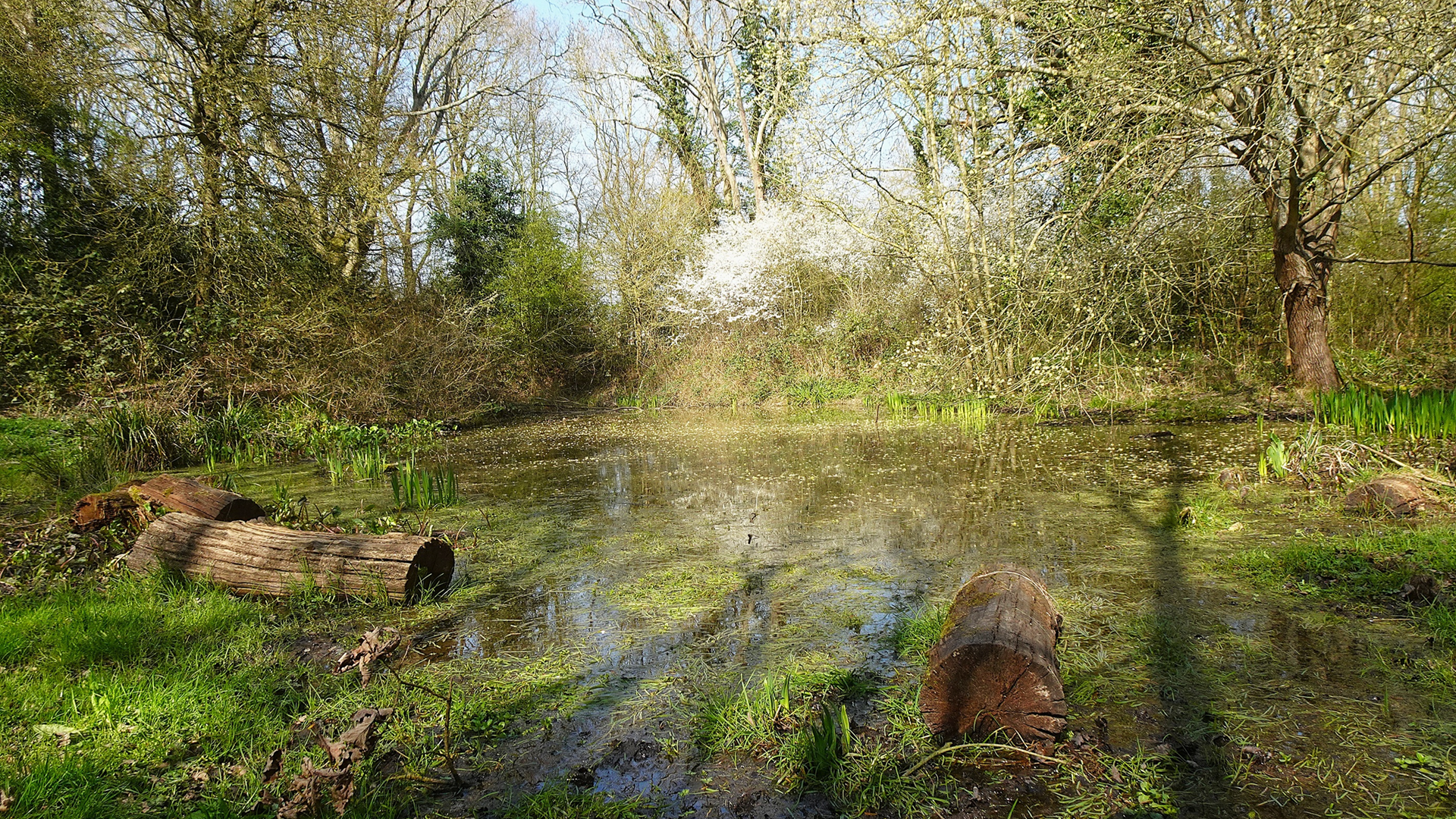 Chigwell Row
Sheepwater