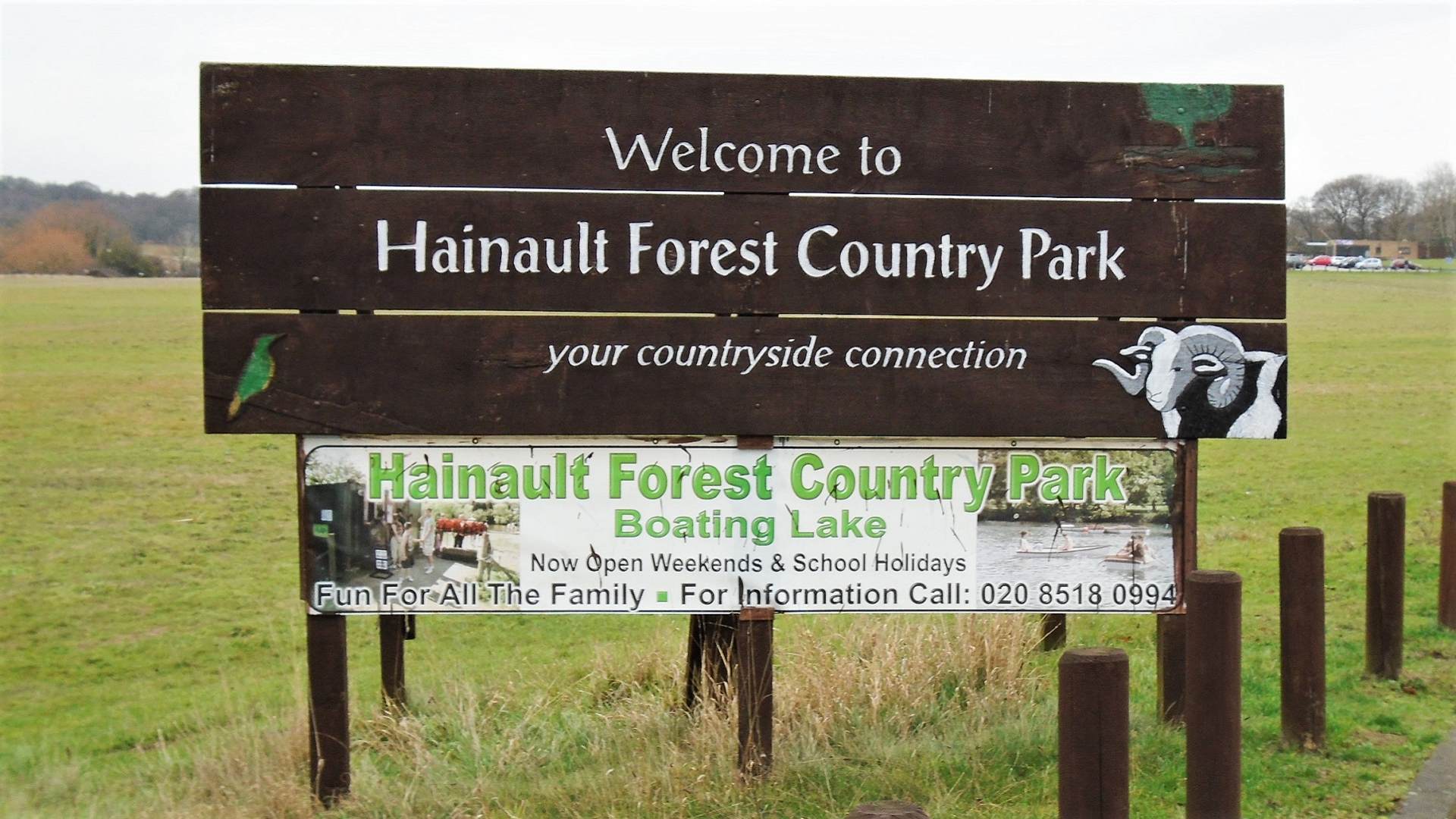 Welcome to Hainault Forest