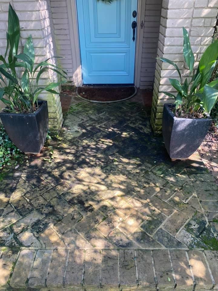 Brick walkway to a light blue door, flanked by potted plants, with moss growth.