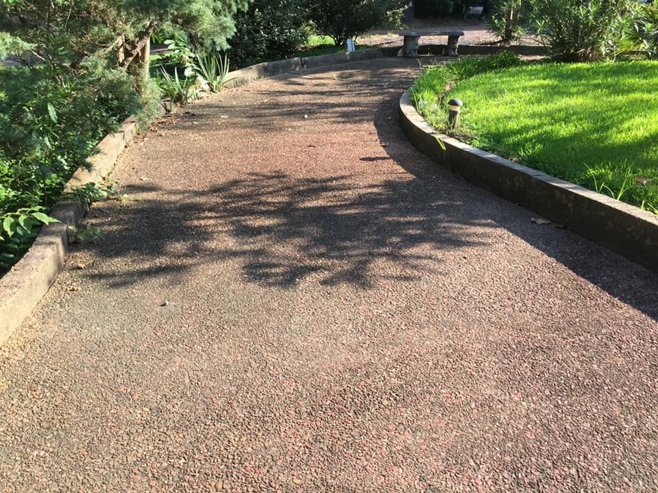 Gravel pathway curves through a green, sunny garden. Shadow of trees cast on path.