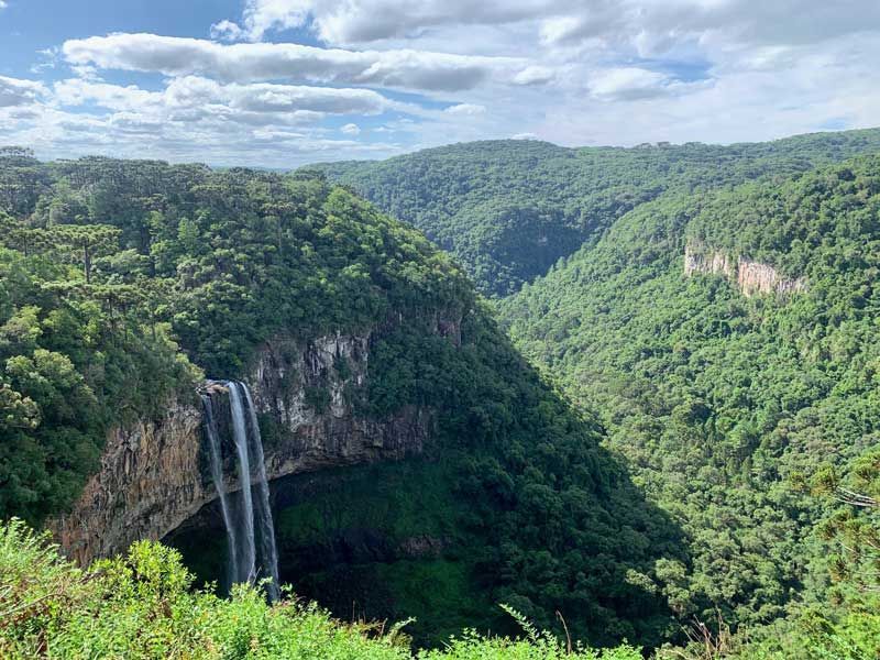 Uma alta cachoeira despenca por uma exuberante parede verde de um cânion coberto de árvores, sob um céu azul com suaves nuvens brancas.