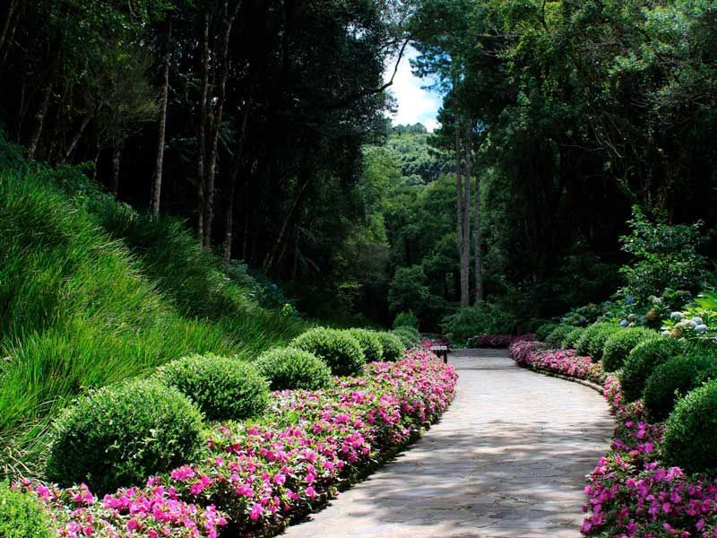 Um caminho de pedra serpenteia por um jardim exuberante com arbustos verdes bem cuidados e canteiros de flores rosa vibrantes sob árvores altas.