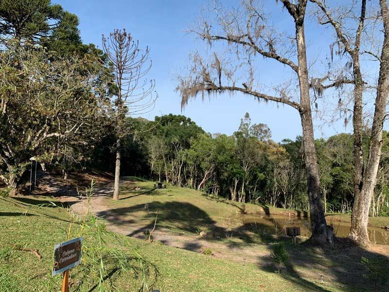 Um caminho serpenteia por uma área gramada de parque com árvores, um pequeno lago e uma placa indicativa em primeiro plano, sob um céu azul.