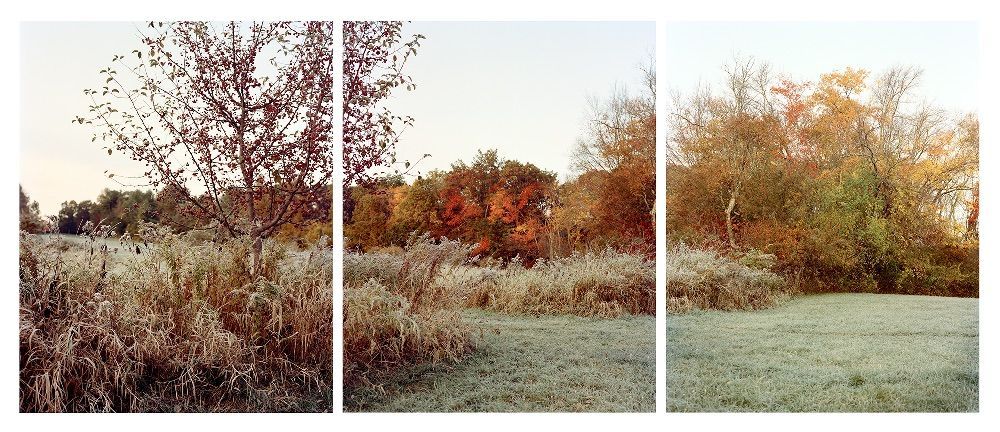 First Frost, Tyler Field, archival pigment print, 13