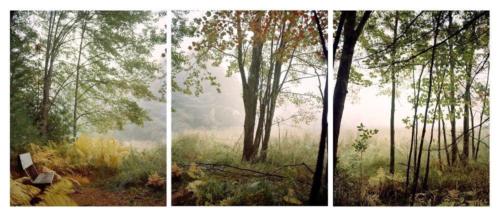 Bench, Spencer Brook Reservation, archival pigment print, 13