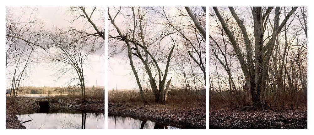Great Meadows Wildlife Refuge, archival pigment print, 13