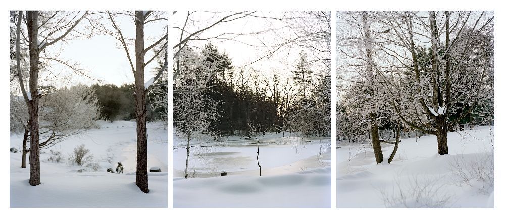 Snowfall, Great Brook Park, archival pigment print, 13